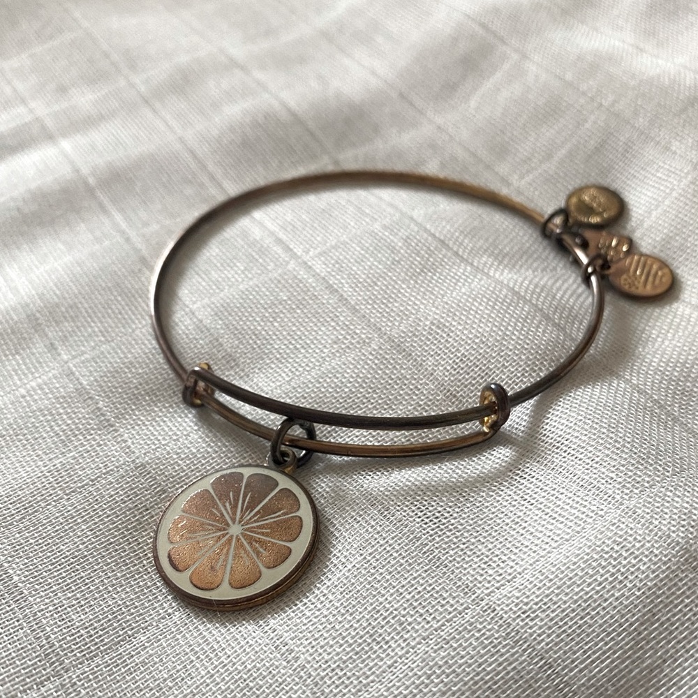3 💛 items for $10! ALEX AND ANI Zest For Life charm bracelet